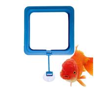 Anneau d'alimentation de poisson flottant - Anneau d'alimentation du poisson d'aquarium | Maintient les aliments de contenu, l'anneau d'alimentation, maintient la nourriture dans un endroit et