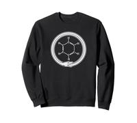 Anneau de benzène Ouroboros Symbole Scientifique Chimie Organique Sweatshirt
