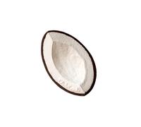 Anneau de dentition coco la noix de coco