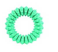 Trixie Jouet pour chien Denta Fun Anneau – caoutchouc naturel, menthe fraîche, Ø 12 cm, 1 pièce