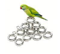 Anneau de Pied Perroquet Ouvert Support en Alliage Boucle d'oiseau pour Ara Gris d'Afrique Perruche Calopsittes Entraînement Animaux Compagnie 10 pièces 5mm