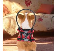 Anneau de protection pour chien - Tour de cou halo pour malvoyants, collier de sécurité pour animal de compagnie aveugle, aide à la perte de vision réglable | Dispositif de soutien à la mobilité