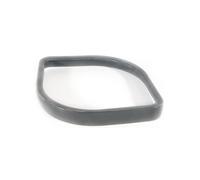 Anneau de protection pour lave verres Delfin TS 3100 et TS 2100
