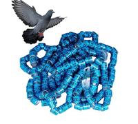 Anneau de ruban Bird Foot Band 2025 - Anneau sécurisé | Bande d'équipement commun anneau pour pied d'oiseau Accessoires Pejon Les couleurs de dentelle Chick Lick sont faciles à identifier et à colorer