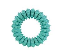 Anneau Denta Fun, Menthe, Caoutchouc Naturel , Ø 12 Cm - Mon Animalerie