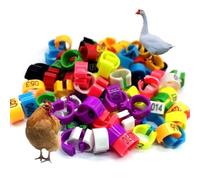 Anneau d'oiseau, bande d'oiseau, anneau de jambe d'oiseau, multicolore Dove Jand Ring Hibiscus Bird, Parrot, pivoine, colombe, couleur mixte (couleurs mixtes 001-1000)
