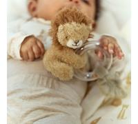 Hochet anneau lion safari friends