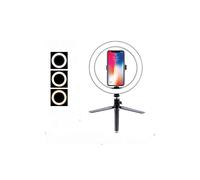 Anneau lumineux LED de 26 cm pour maquillage, vidéo, studio, intensité réglable, 3 modes d'éclairage, facile à transporter et à installer.