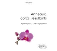 Anneaux, corps, résultants: Algèbre pour L3/M1/agrégation