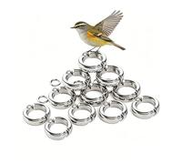 Anneaux de Jambe Anti-évasion pour Perroquet, Bandes de Pied légères pour Oiseaux de Petite, Moyenne et Grande Taille, Parfaits pour la Surveillance des activités et la sécurité 10 pièces 4mm
