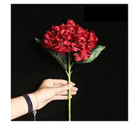 Anneaux de rideau Anneau à œillets de rideau en métal chromé de 1,8 pouces Anneau de rideau de douche robuste Anneau coulissant de draperie fermée vintage (argent) Anneau de rideau de fenêtre