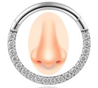 Anneaux de septum à charnière en acier chirurgical 14 G/16 G/18 G avec zircone cubique, petit anneau de nez pour homme et femme, diamètre 6 mm, 7 mm, 8 mm, 9 mm, 10 mm, couleur gemme bleu, violet