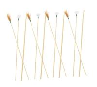 Anneome 5 Ensembles Set de Outils pour Nettoyer Oreilles Accessoires Sûrs et Efficaces pour Adolescents et Adultes Élimination Cire Sèche et Grasse Surface et Résistante