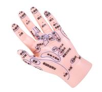 Anneome Modèle de Main pour Acupuncture et Réflexologie avec Marquages Outil Apprentissage Points Acupoints pour Éducation Médecine Traditionnelle Chinoise et Massage