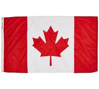 Annin Flagmakers Drapeau International 191337, 0,9 x 1,5 m, Non Applicable