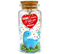 Anniversary Rawr Means I Love You in Dinosaure Cadeau de Saint-Valentin, message romantique dans une bouteille, cadeau d'anniversaire amusant pour elle, lui, petite amie, petit ami, épouse, mari,