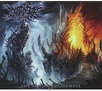 Annotations Of An Autopsy - II: the Reign of Darkness