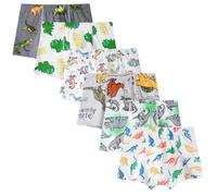 Anntry sous-vêtements pour garçons, Boxers pour Tout-Petits garçons en Forme de Dinosaure, Paquet de 6 Slips en Coton pour bébés Enfants de 2 à 9 Ans