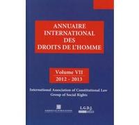 Annuaire international des droits de l'homme vii 2012-2013 Collectif (Auteur)