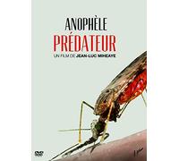 Anophèle Prédateur