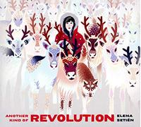 Another Kind of Revolution