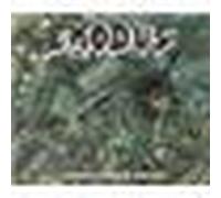 Another lesson in violence