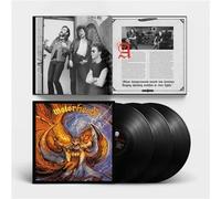 Another Perfect Day - Vinyle 33 Tours