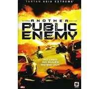 Another Public Enemy [Import USA Zone 1]