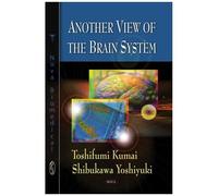 Another View Of The Brain System