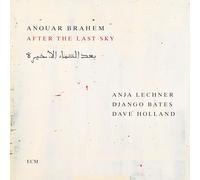 After The Last Sky