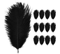 Anseom 12 Pièces Plumes d'Autruche Naturelles 20-25 cm pour Mariage, Couture, Artisanat, Costumes, Fête à Thème, Décoration de Noël (Noir)