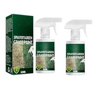 Anshka Lot de 2 pots de peinture pour gazon vert prêt à l'emploi