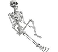 Anshka Squelette humain d'Halloween surdimensionné articulé taille réelle décoration fête accessoire