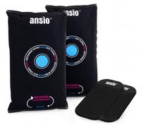 ANSIO Lot de 2 déshumidificateurs d'intérieur de voiture avec tapis antidérapant - Taille L