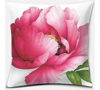ANSIWEIGO Coussin à Point Compté 45X45cm Coussin Brodé avec Fil et Aiguille à Broder Décoration Point de Croix Complet Broderie Pré-imprimé DIY pour Adulte - Peinture à l'huile de style rétro rose