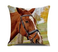 ANSIWEIGO Kit coussin à broder au demi-point de croix avec canevas imprimé, fils en coton et dos zippé 45x45 cm,Animaux Cheval