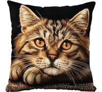 ANSIWEIGO Kit De Coussin À Verrouillage Chat Kit De Tapis De Crochet À Point,Création De Tapis À Crocher Pour Adultes Et Enfants,Modèle De Couleur Pré-imprimé,17X17 POUCES
