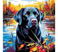 ANSIWEIGO Peinture par numéros pour adultes et enfants,toile en lin,acrylique,bricolage,kits de peinture par numéros,décoration murale,cadeau,chien labrador noir au bord du lac,40x40 cm,avec cadre