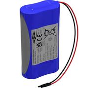 Ansmann 2S1P Pack de piles rechargeables 2x 18650 avec câble Li-Ion 7.2 V 2550 mAh