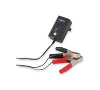 Ansmann ALCS 2-12 chargeur de batterie