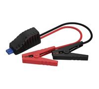 Ansmann Powerstation Jumpstart Adapter PS600AC PS2200AC Câble de démarrage 8.37 mm² ABS, PVC 0.50 m avec pinces en plas