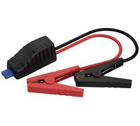 Ansmann Powerstation Jumpstart Adapter PS600AC PS2200AC Câble de démarrage 8.37 mm² ABS, PVC 0.50 m avec pinces en plastique