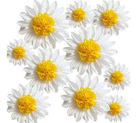 ANSOMO Lot de 10 pompons en papier de soie à motif marguerites - Fleurs blanches et jaunes - À suspendre au mur - Pour 1er anniversaire de mariage - Décoration de salle de classe - 30,5 cm - 20,3 cm