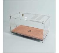 Ant Eco Box - Kit d’éducation scientifique for enfants(Activity Area)