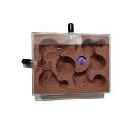 Ant Farm Ant Farm Habitat Ecologique Ant Farm Plâtre Nid Plastique Béton Fourmis Atelier Fourmie Fourmie Jouets Scientiels pour Enfants et Adultes Vivants Fourmis et Reine