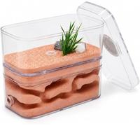 Ant Farm Castle - Maison de terrarium en plâtre facile à observer