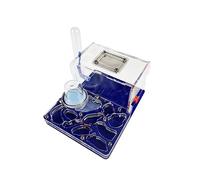 Ant Farm Kit de nid de fourmis pour enfants et adultes en acrylique avec tour d'eau et visière transparente pour la maison et l'école