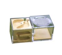 Ant Farm Mini nid de fourmis en plâtre en acrylique transparent pour fourmis Formicarium Kit d'apprentissage scientifique pour fourmis et animaux domestiques