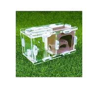 Ant Farm Mini nid de fourmis Expérience scientifique de la ferme Formicarium Nid d'insectes en plâtre acrylique Petite maison à fourmis pour jeune reine et petite villa colonie fourmis vivantes et