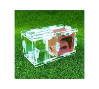 Ant Farm Mini nid de fourmis Expérience scientifique de la ferme Formicarium Nid d'insectes en plâtre acrylique Petite maison à fourmis pour jeune reine et petite villa colonie fourmis vivantes et